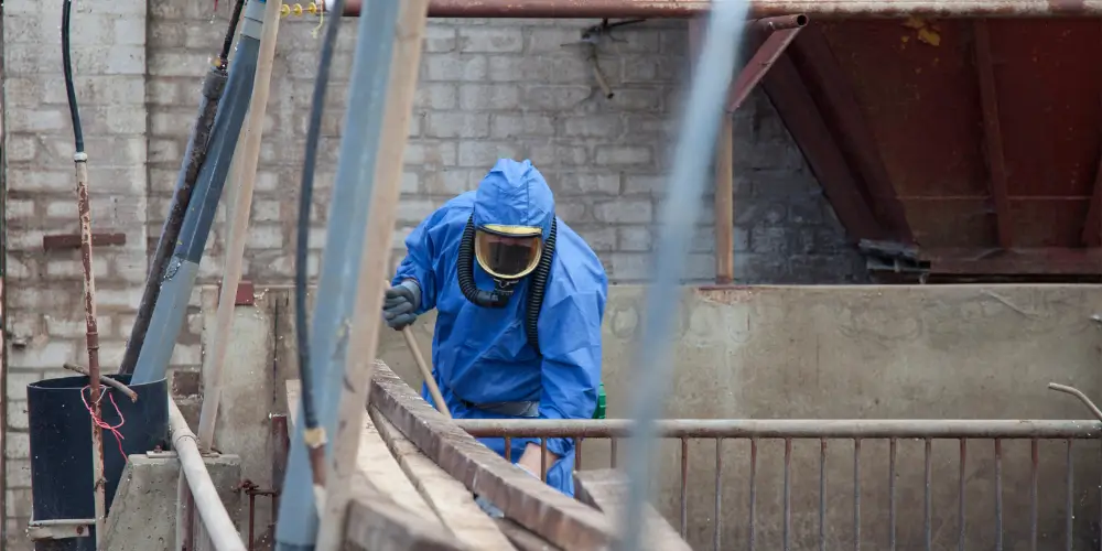 Does a Level 3 Survey Check for Asbestos