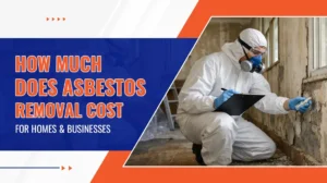 How Much Does Asbestos Removal Cost for Homes and Businesses