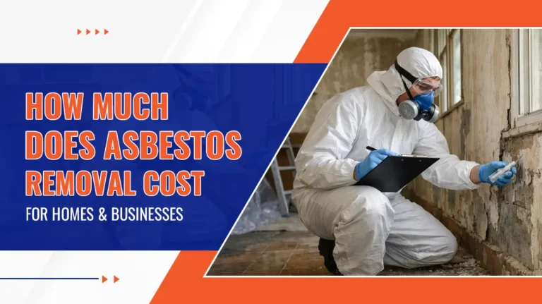 How Much Does Asbestos Removal Cost for Homes and Businesses